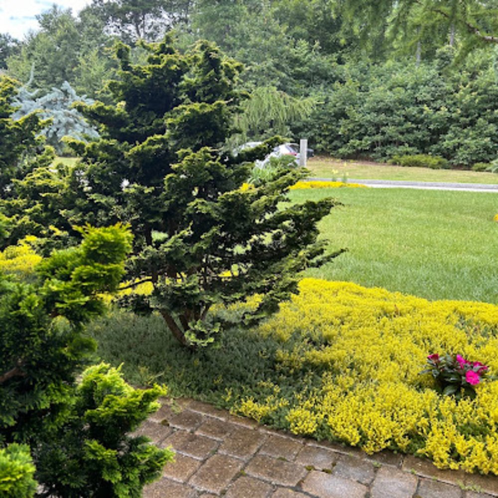 Meet your Posher, Be